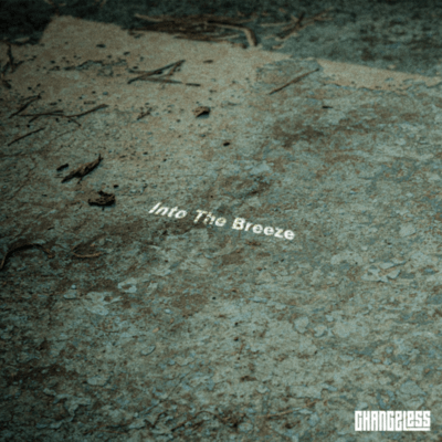 Into The Breeze (Instrumental) Front Cover