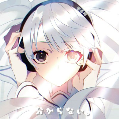 分からない。のジャケット写真