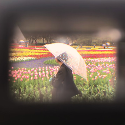 もし抱きしめることがあったらのジャケット写真