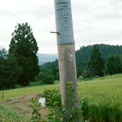 Osaki ni Douzo Front Cover