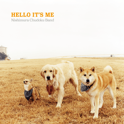 Hello, It's Me Front Cover