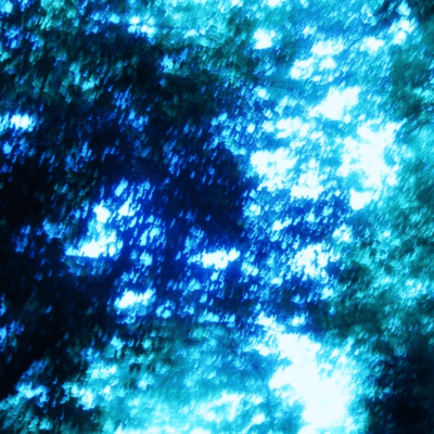 komorebi Front Cover