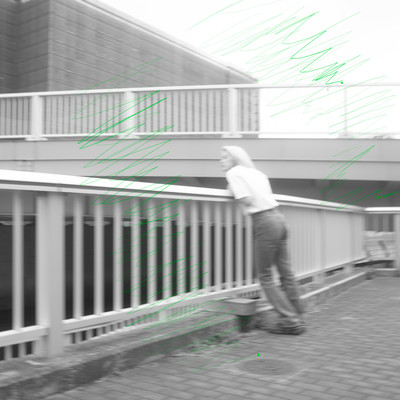 Mild Mint Front Cover