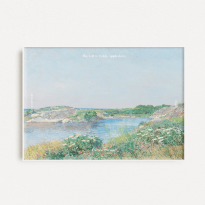 noro Front Cover