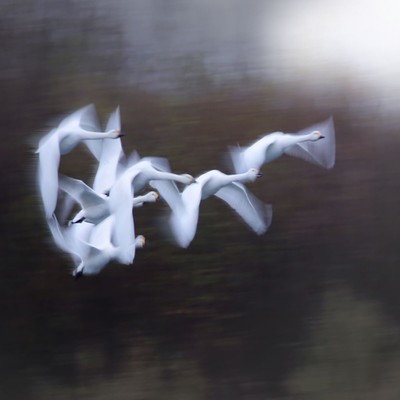 風を切るのジャケット写真