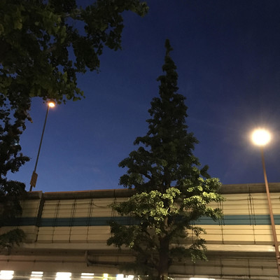 トウキョウナイトドライブのジャケット写真