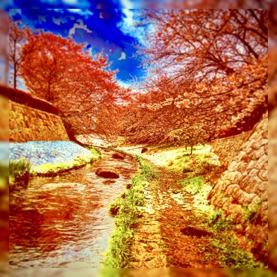 be happy Front Cover