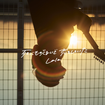 Shinimonoguruide Koiwo Shiteita Front Cover