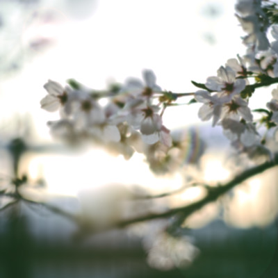 Kiminouta Front Cover