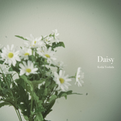 Daisy Front Cover