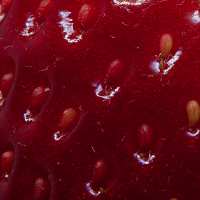 my hand is dirty / my hand is dirty (remix) Front Cover