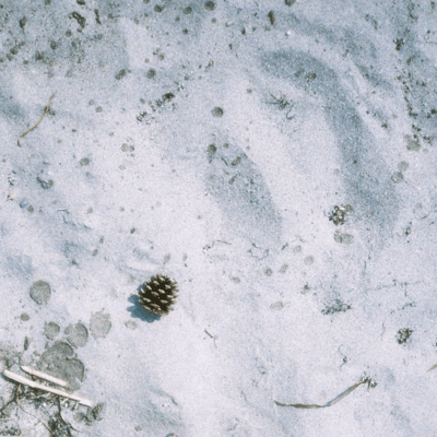 Aiko Sasoribari Front Cover