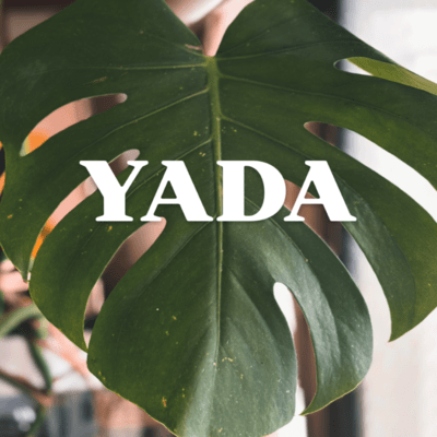 YADA Front Cover