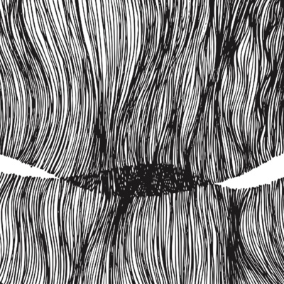 アリと螽斯のジャケット写真