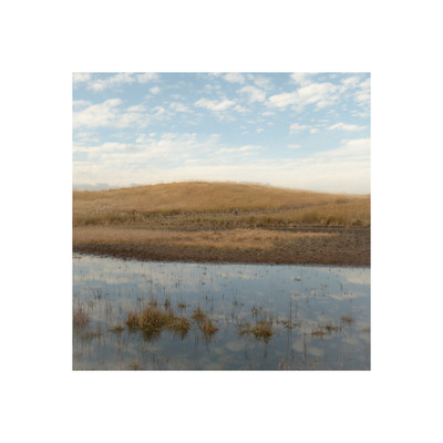 Fallのジャケット写真