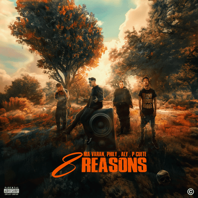 8 Reasonsのジャケット写真