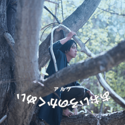 Aoiro no Kakumei Front Cover