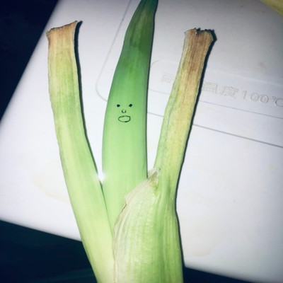 くだらない1日のジャケット写真