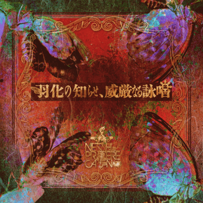 The announcement of hatching, a majestic chant Front Cover