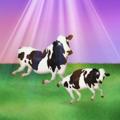 Daylight Front Cover