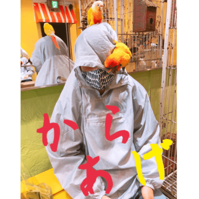 KARAAGE Front Cover