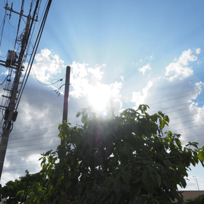 Summer Sunlit Surge (feat. Matsuo, BHS Svve & utumiyqcom)のジャケット写真