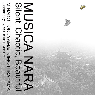 Silent, Chaotic, Beautiful Front Cover