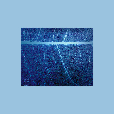 Roentgen (Retake) Front Cover