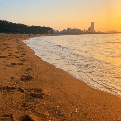 君の花言葉 (feat. 花隈千冬)のジャケット写真