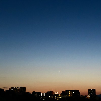 プラスチックのジャケット写真