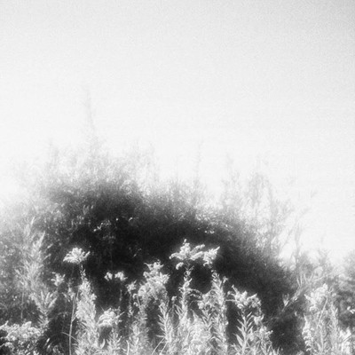 Green Day Front Cover