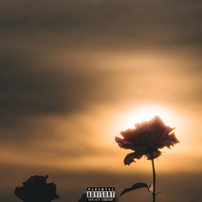 HSPのジャケット写真