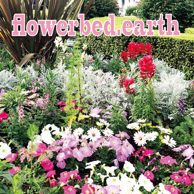 flowerbed.earth Front Cover