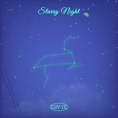 Starry Night Front Cover