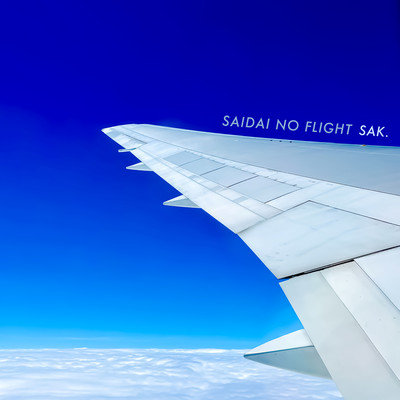 最大のFLIGHTのジャケット写真