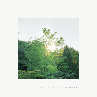 きこえる、きこえるのジャケット写真