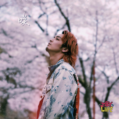 bloom Front Cover
