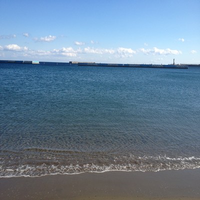 Shout now Front Cover