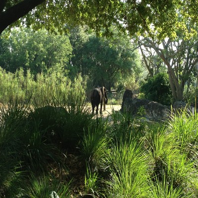 Episode IV Front Cover