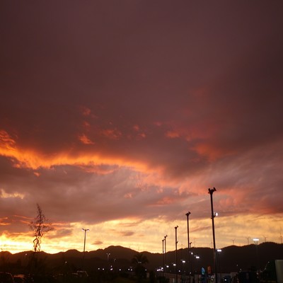 こきゅうのジャケット写真