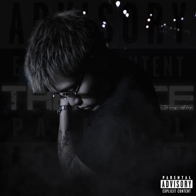 The Vøiceのジャケット写真