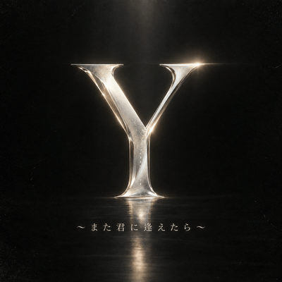 Y ~If I Could See You Again~ Front Cover