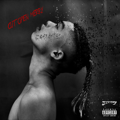 CUT OPEN MERRY Front Cover