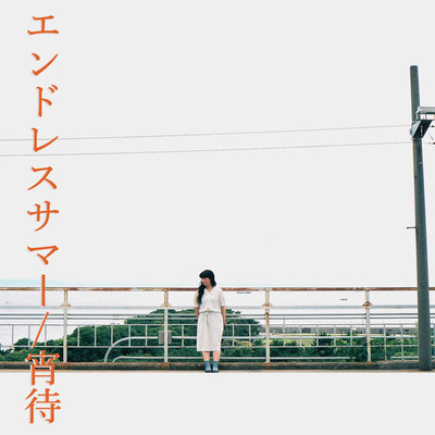 エンドレスサマーのジャケット写真