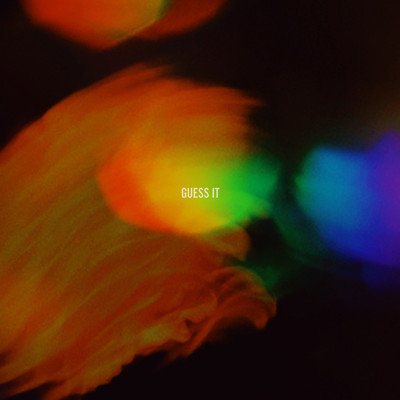 GUESS IT Front Cover