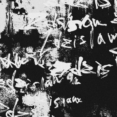 Zdzislaw Front Cover