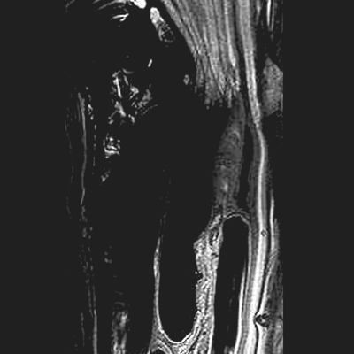 Sanctumのジャケット写真