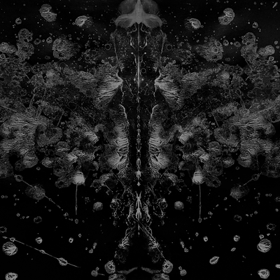 Shadow Tree Front Cover