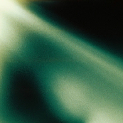 fra skogen mot mångataのジャケット写真