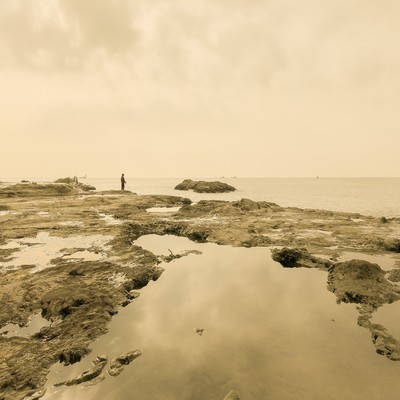 TRUE COLORS Front Cover